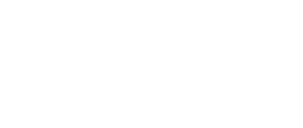 DCS ENGINEERING, LLC logo