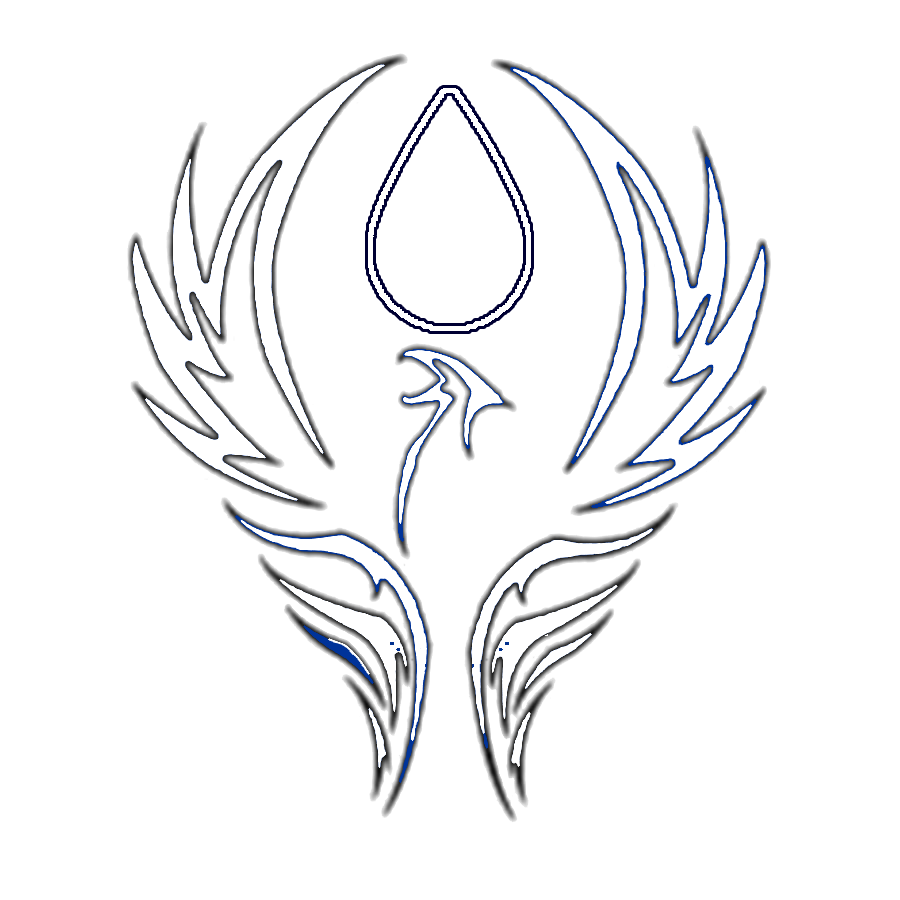 DCSE LLC logo