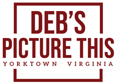 DEBS PICTURE THIS INC logo