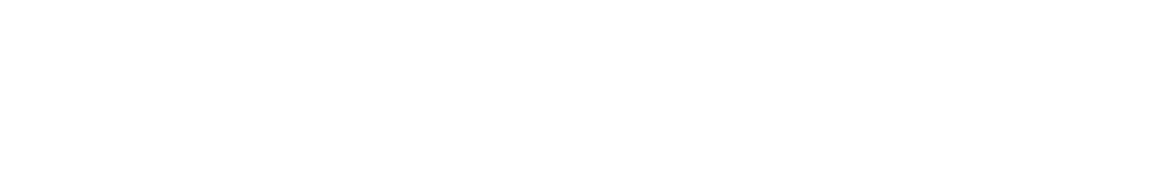 DECISIVE INTELLIGENCE INC logo