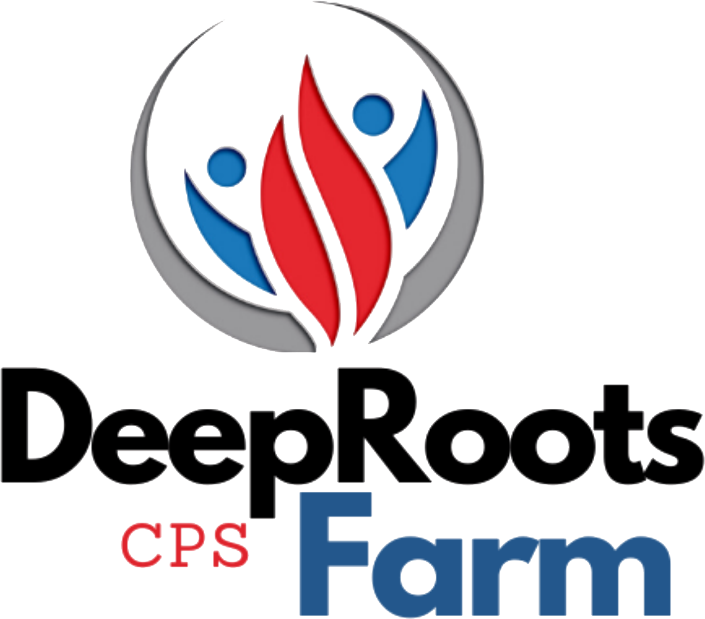 DEEPROOTS COMMUNITY PLANNING SOLUTIONS, LLC logo