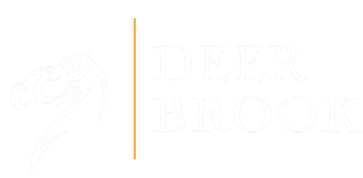 DEER BROOK CONSULTING, INC. logo
