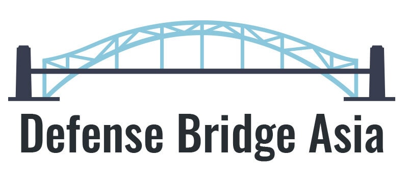 DEFENSE BRIDGE ASIA LLC logo