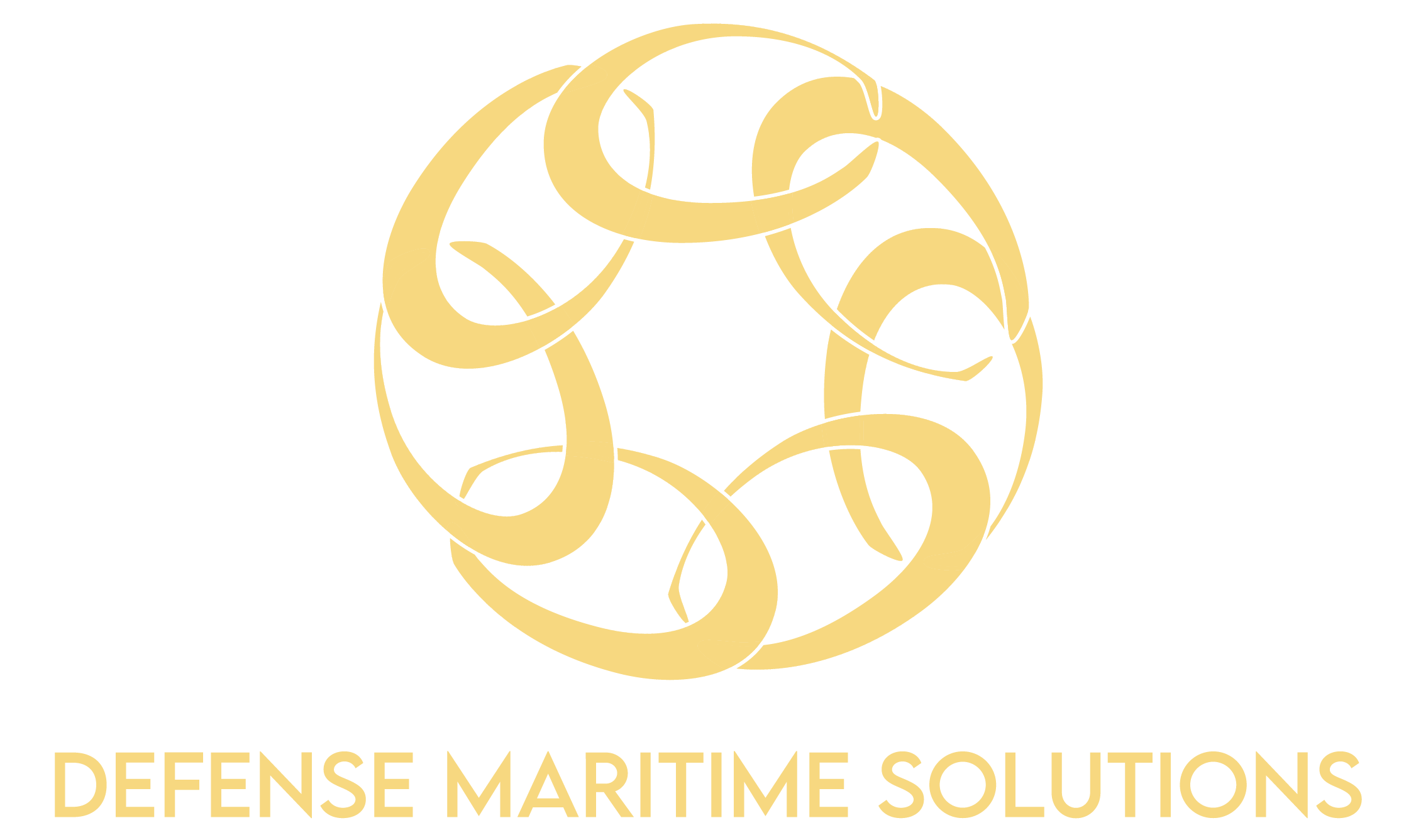 DEFENSE MARITIME SOLUTIONS, INC. logo
