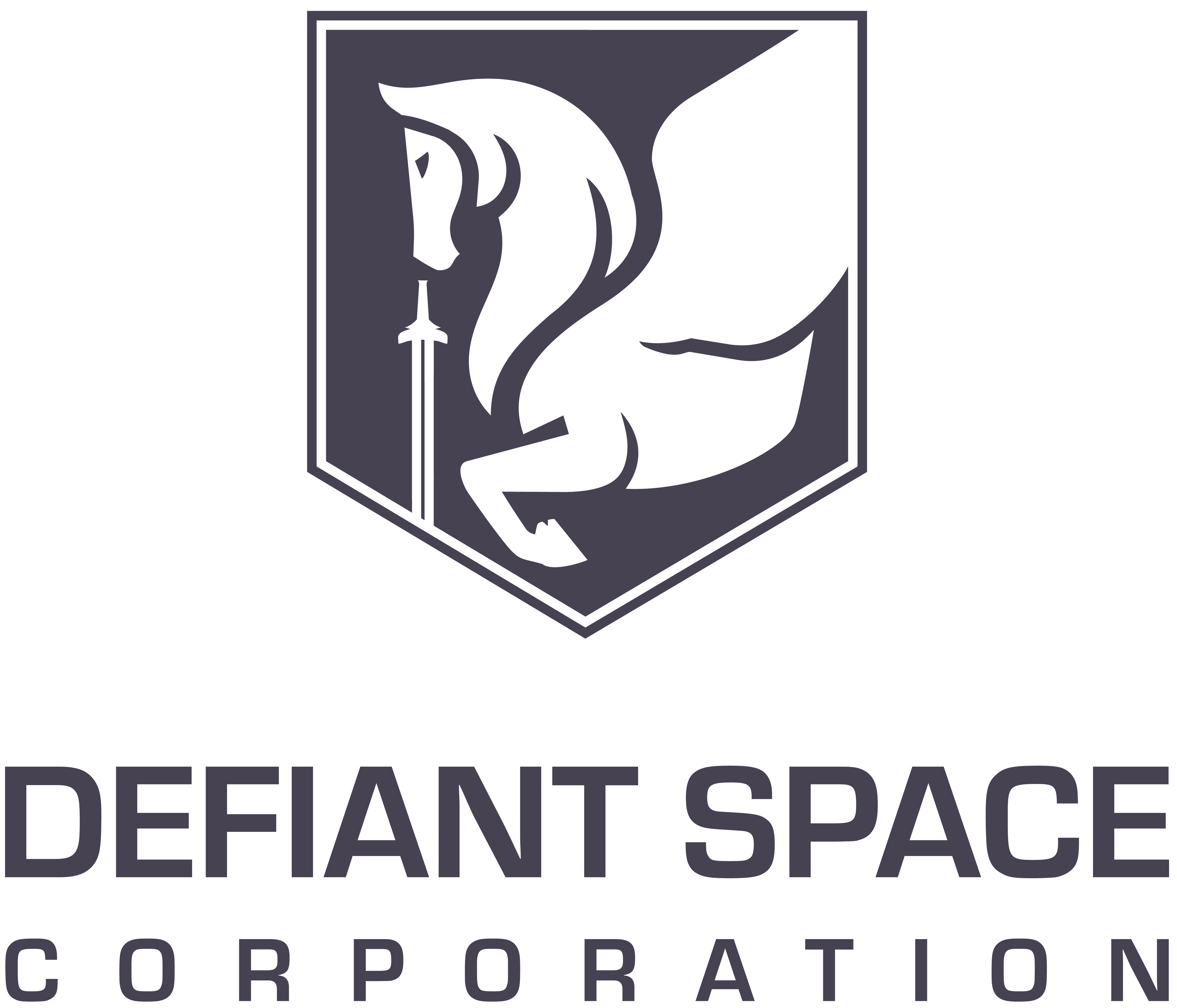 DEFIANT SPACE CORP logo