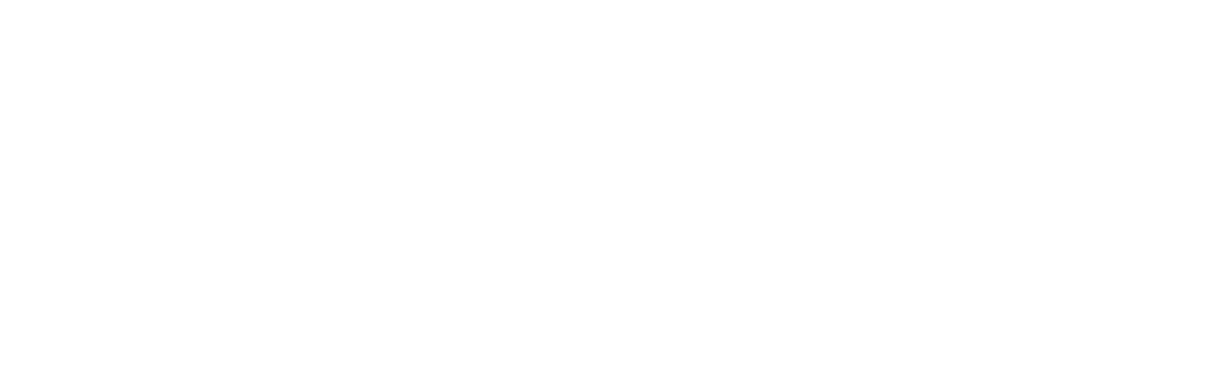 DELIVER LOGISTICS SOLUTIONS LLC logo