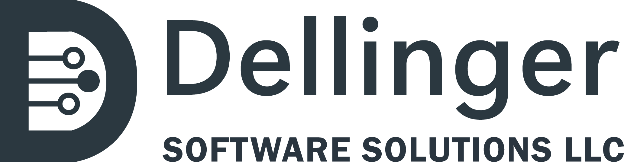 DELLINGER SOFTWARE SOLUTIONS LLC logo