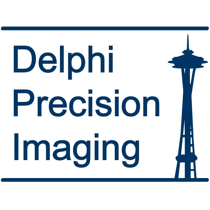 DELPHI PRECISION IMAGING CORPORATION logo