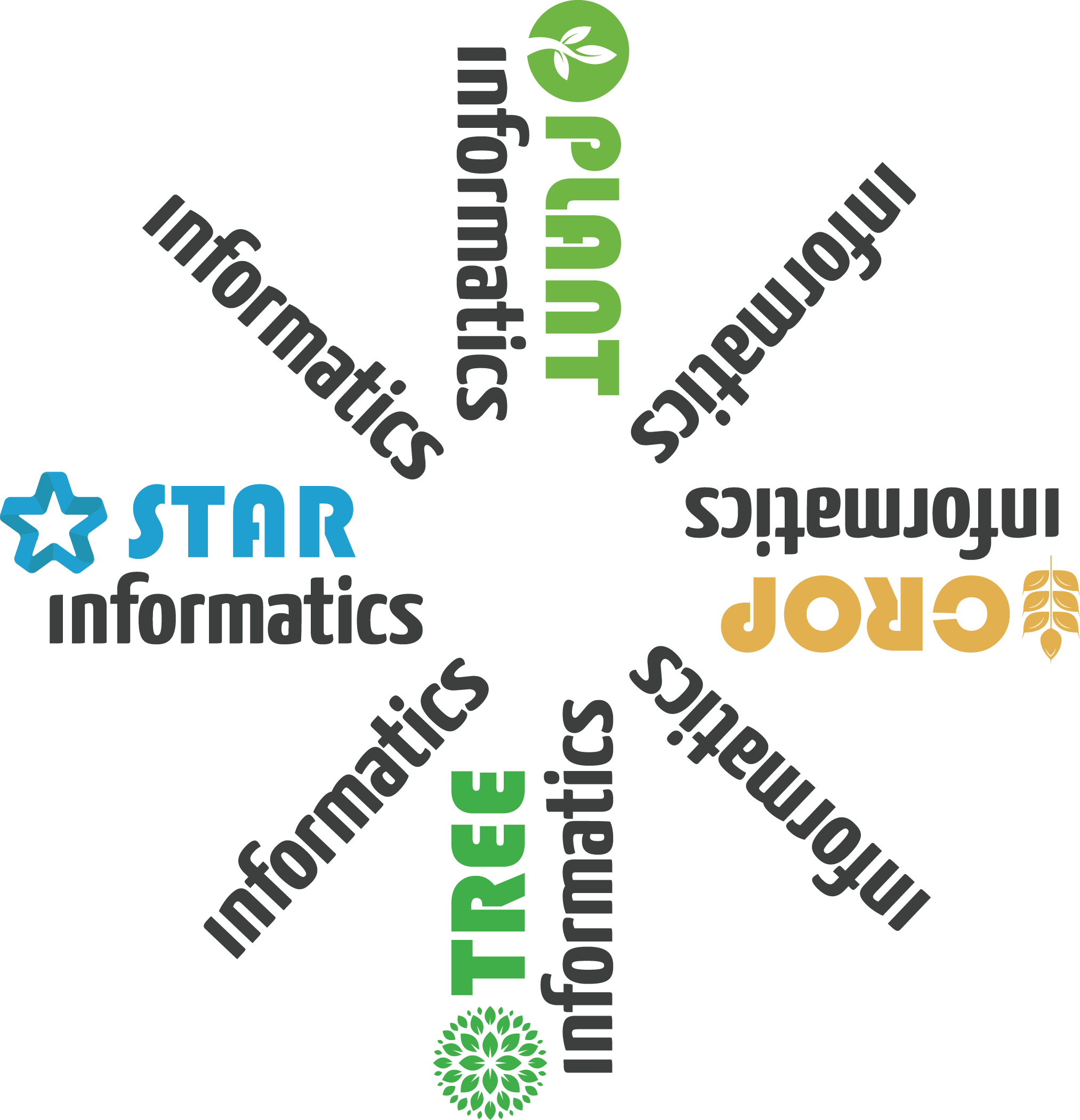 DELPHINAI CORP logo