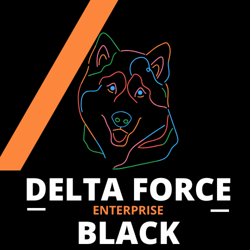DELTA FORCE BLACK ENTERPRISE LLC logo