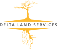 DELTA LAND SERVICES LLC logo