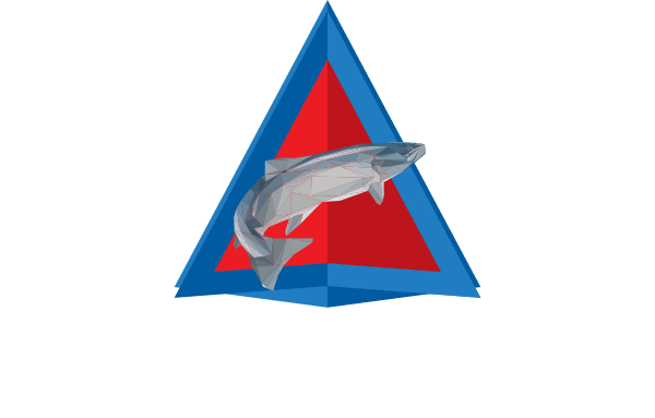 DELTA POINT LLC logo