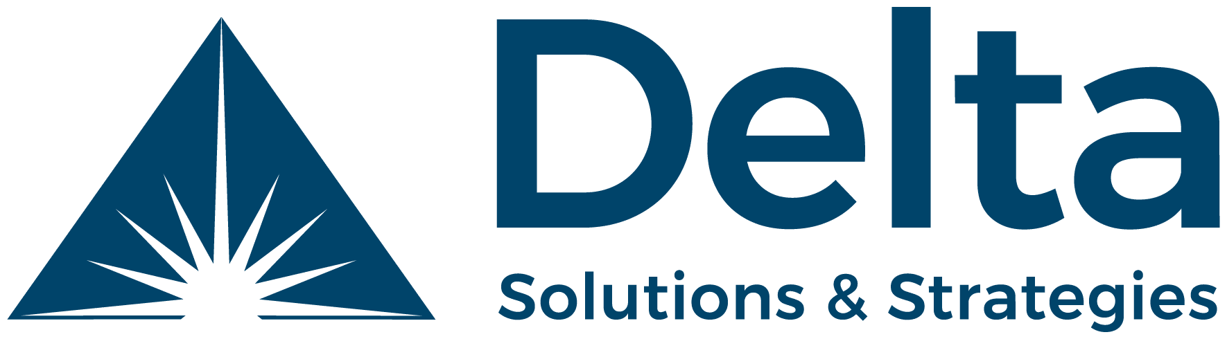 DELTA SOLUTIONS & STRATEGIES LLC logo