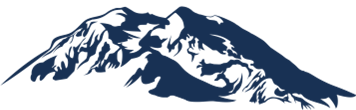 DENALI CONSULTING LLC logo