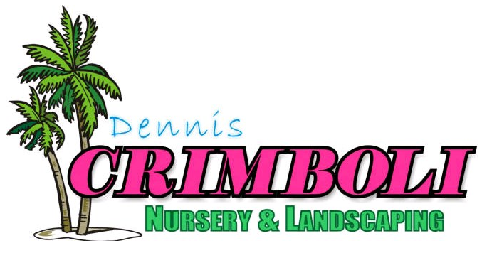DENNIS J CRIMBOLI LLC logo