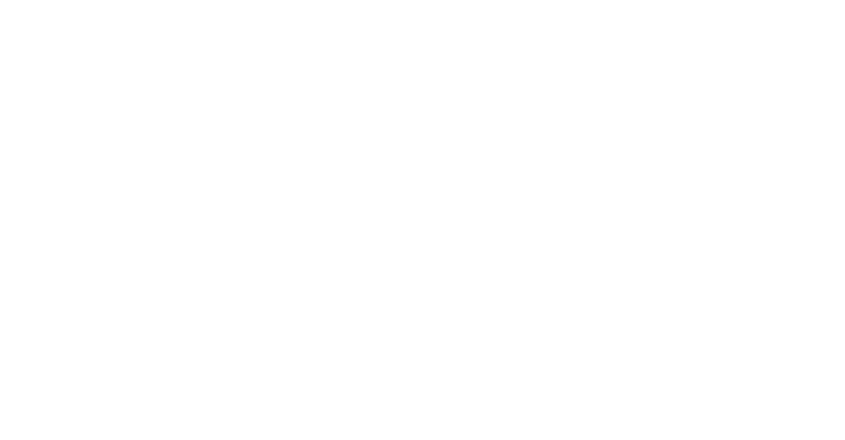 DEPLOYED SOLDIERS NETWORK, LLC logo