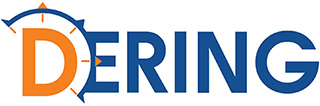 DERING CONSULTING GROUP INC logo