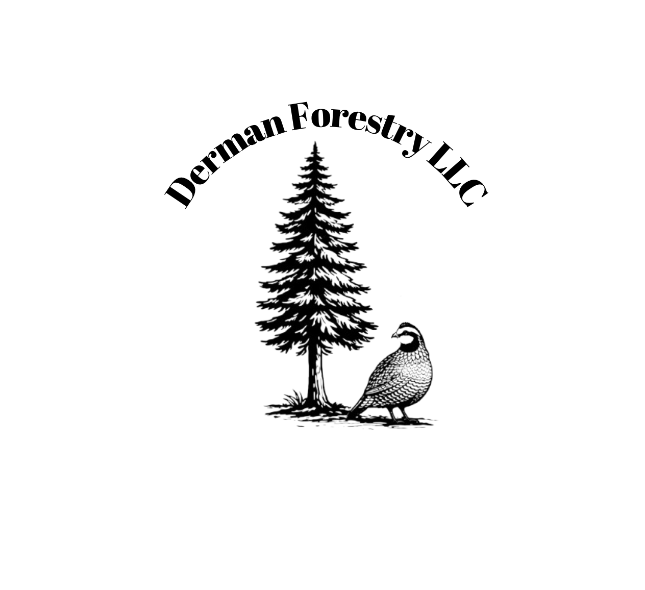 DERMAN FORESTRY LLC logo
