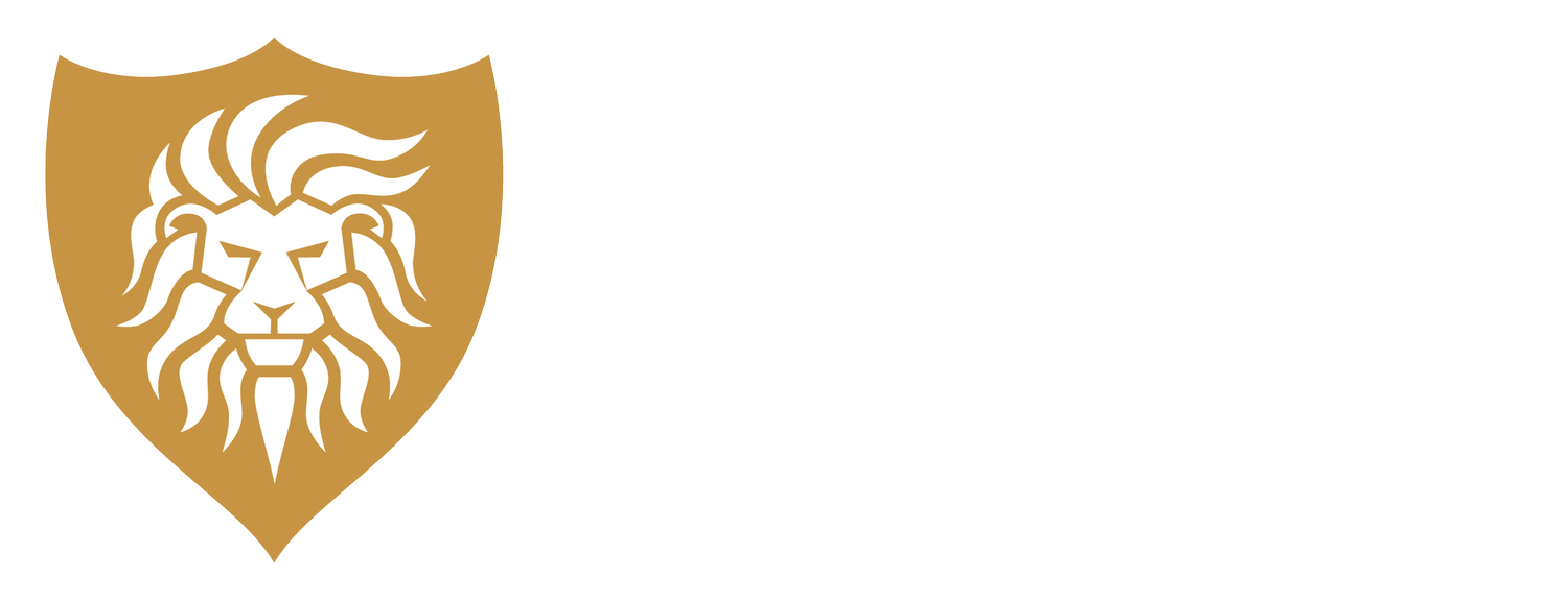 DESERT LION SECURITY GROUP, LLC logo