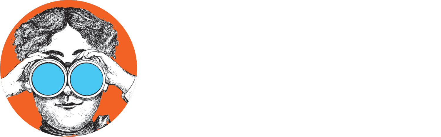 DESIGN RESEARCH COLLECTIVE INC logo