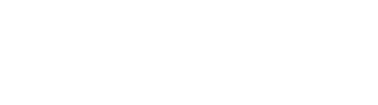 DESIGN & SOFTWARE INTERNATIONAL, INC logo