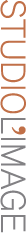 DESIGN SYSTEMS GROUP logo