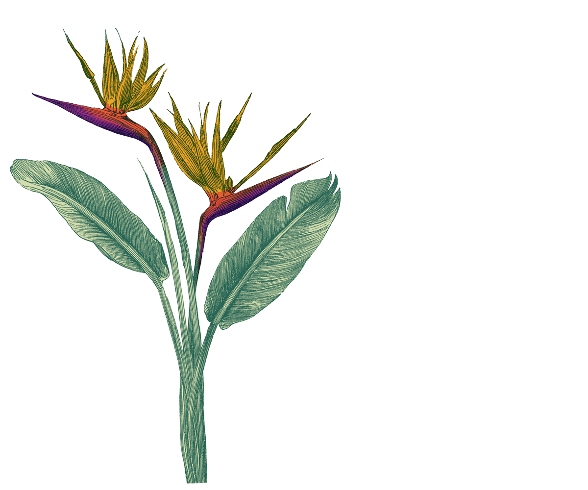DESIRE LINE LLC logo