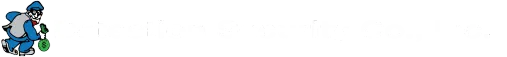 DETECTION SECURITY COMPANY, INC. logo