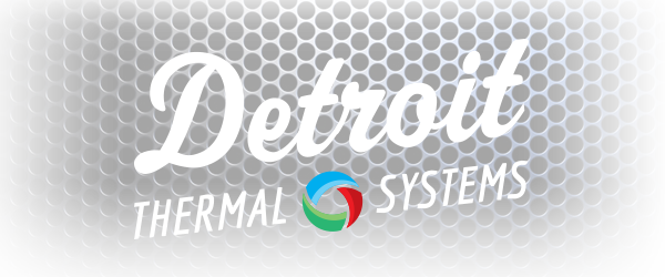 DETROIT THERMAL SYSTEMS LLC logo