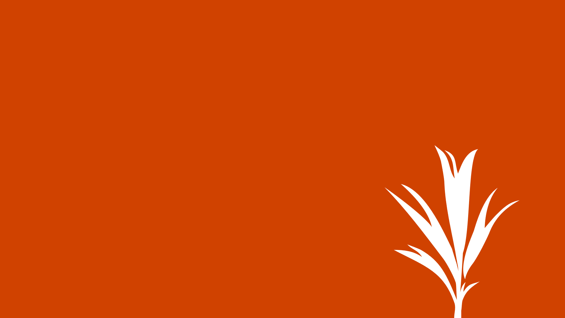 DEVELOPMENT SEED logo