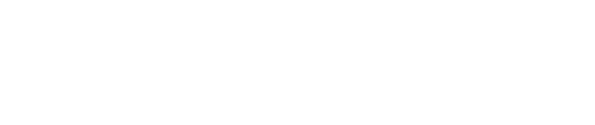 DEVINE BROTHERS, INC. logo