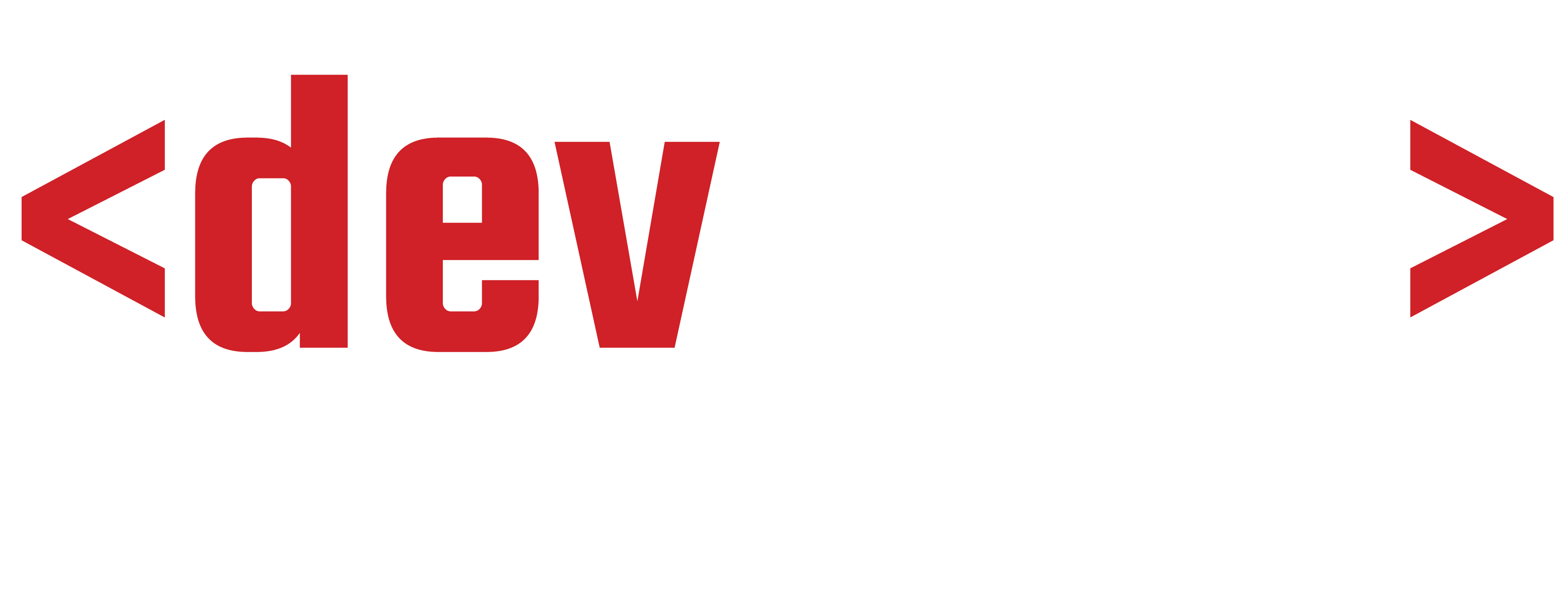 DEVZERO SECURITY LLC logo
