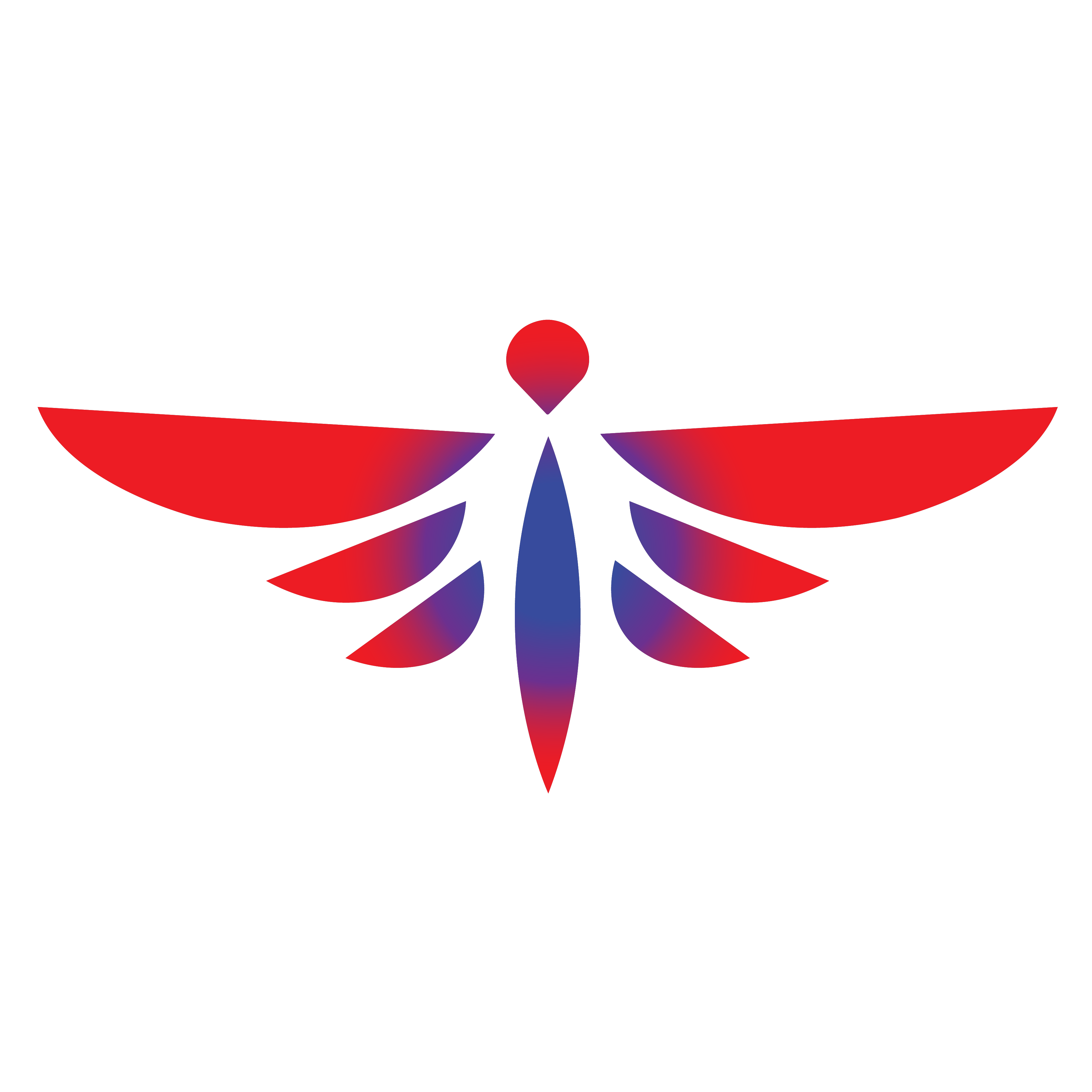 DEZIER AIR L.L.C logo
