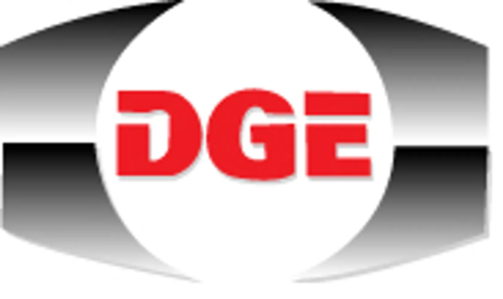 DG ENGINEERING CORP logo