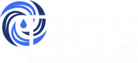 DGS LLC logo