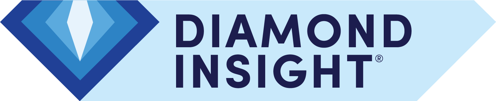 DIAMOND INSIGHT INC logo