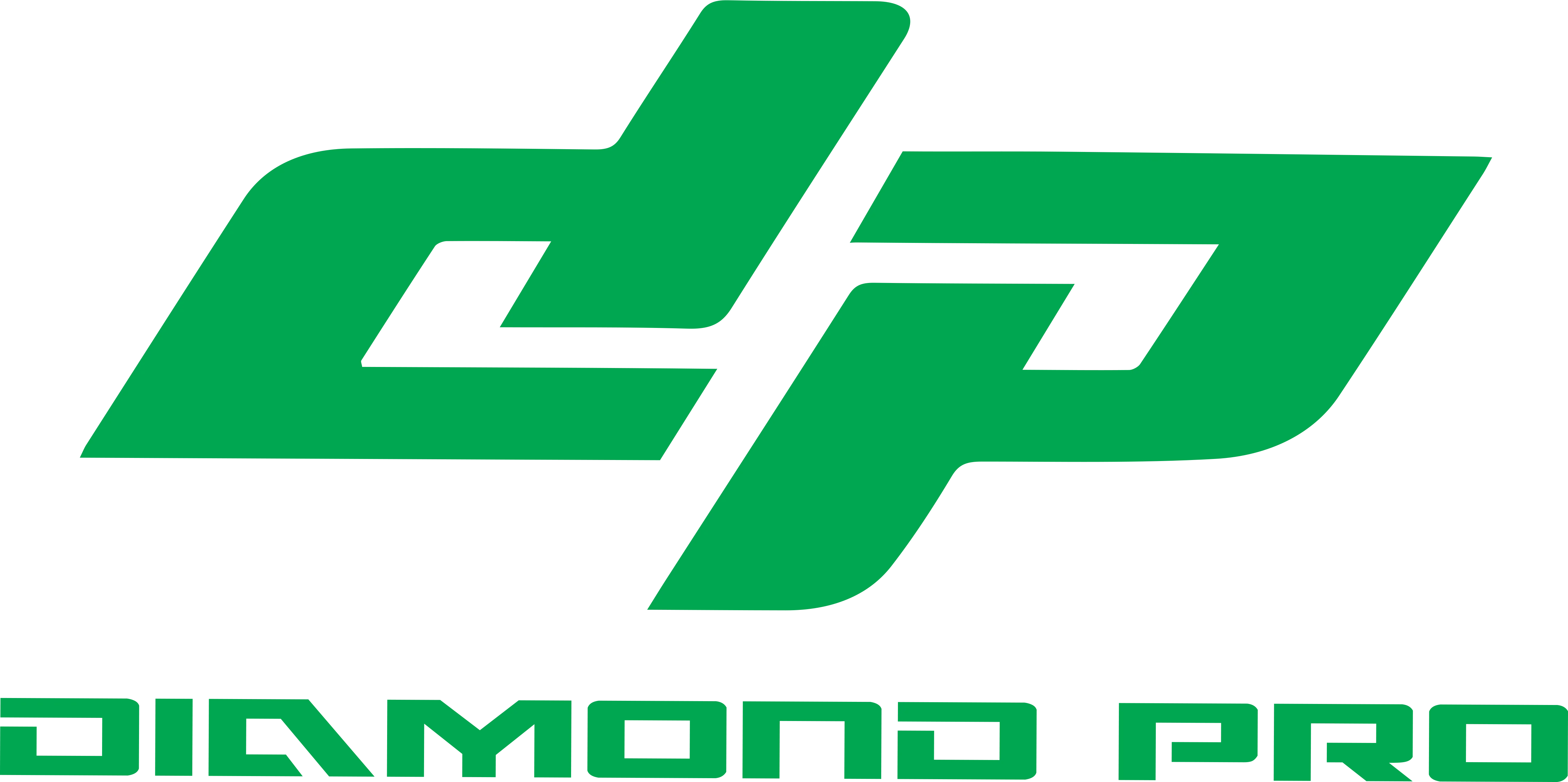 DIAMOND PRO CORP logo