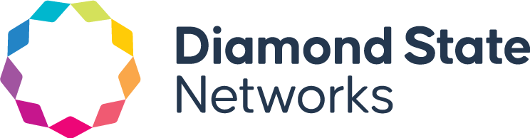 DIAMOND STATE NETWORKS, LLC logo