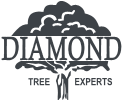 DIAMOND TREE EXPERTS INC logo