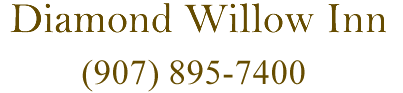 DIAMOND WILLOW INN MANAGEMENT LLC logo