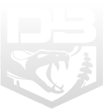DIAMONDBACK MANUFACTURING LLC logo