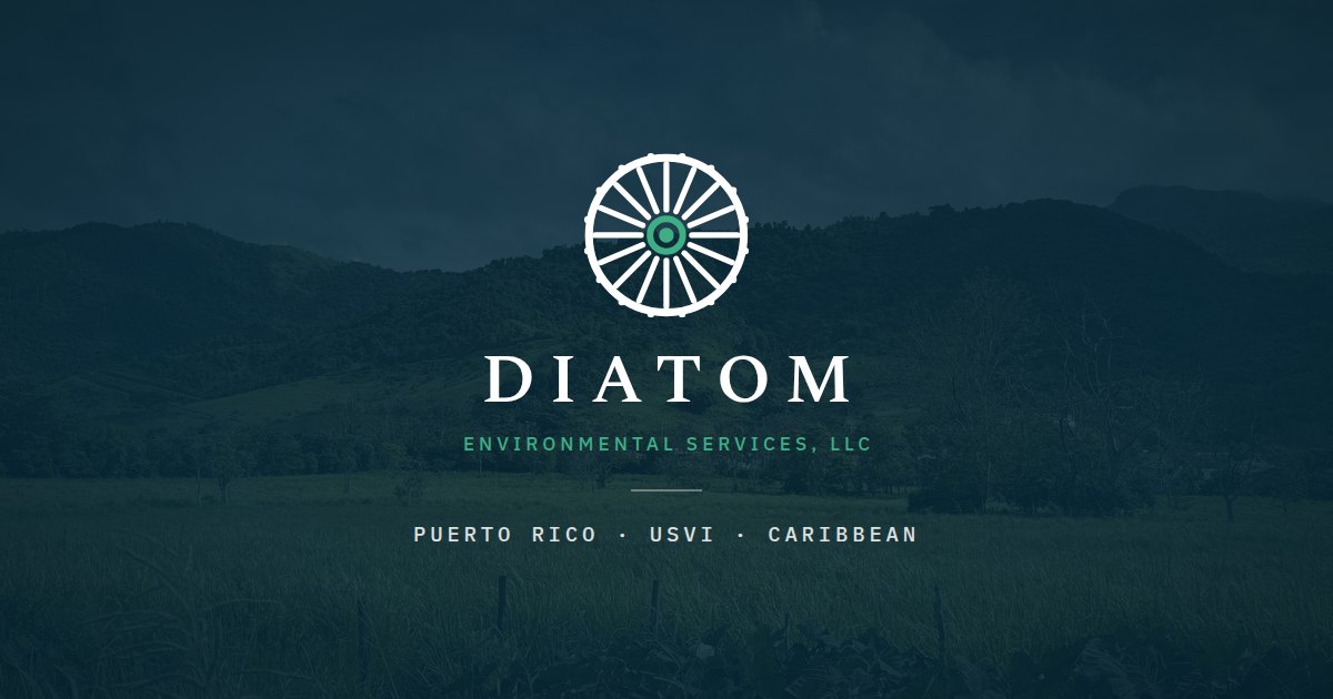 DIATOM ENVIRONMENTAL SERVICES LLC logo