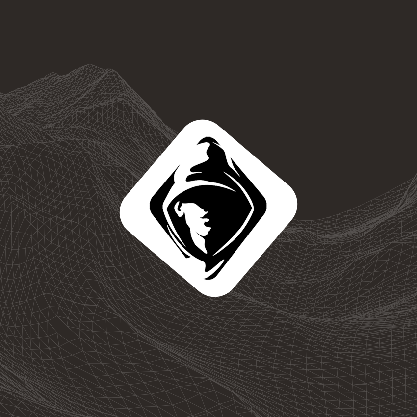DIGITAL CLOAK, LLC logo