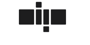 DIGITAL POLISH logo