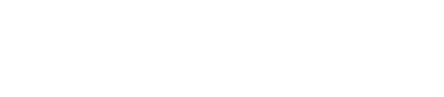 DIGITAL REVOLUTION, LLC logo