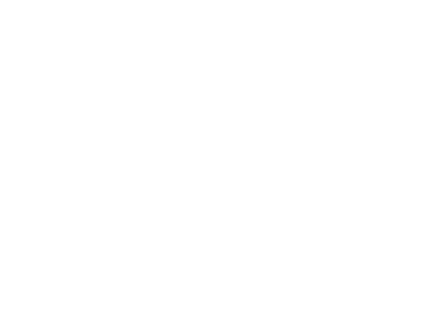 DIGITAL SAFETY logo