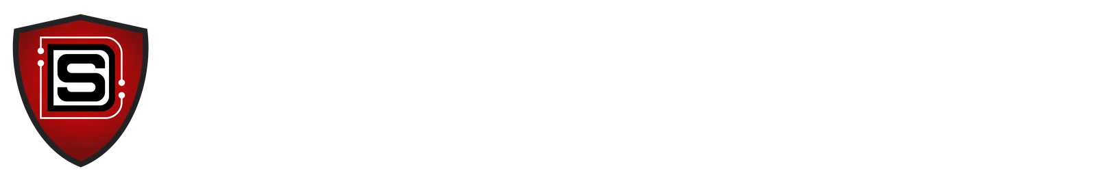 DIGITAL SHIELD INC logo