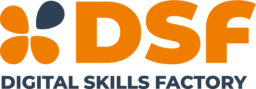 DIGITAL SKILLS FACTORY logo