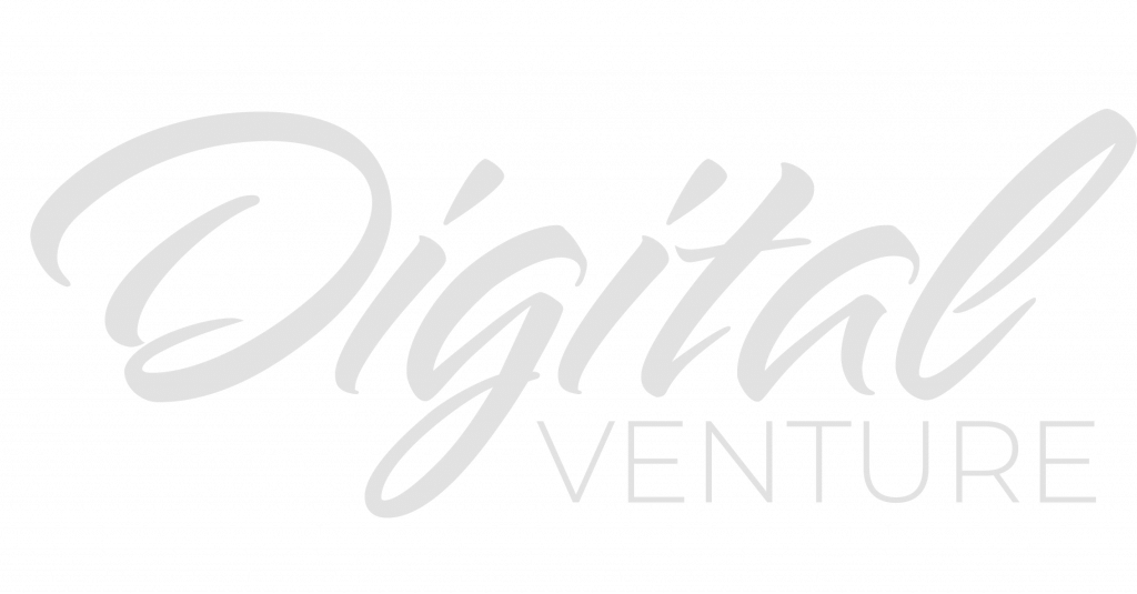 DIGITAL VENTURE LLC logo