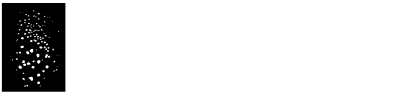 DIGITALIS EDUCATION SOLUTIONS, INC. logo